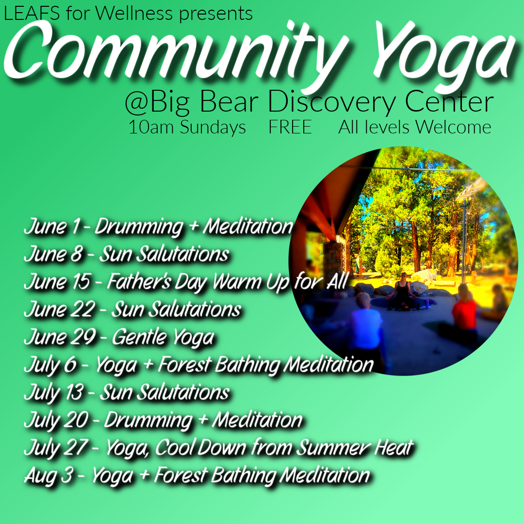 Summer Yoga Schedule at the Discovery Center 